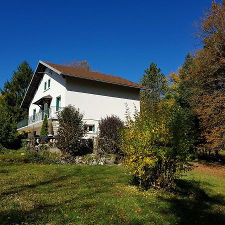 Gite Grande Capacite Au Calme Circuit Cascades Du Herisson Bonlieu 外观 照片