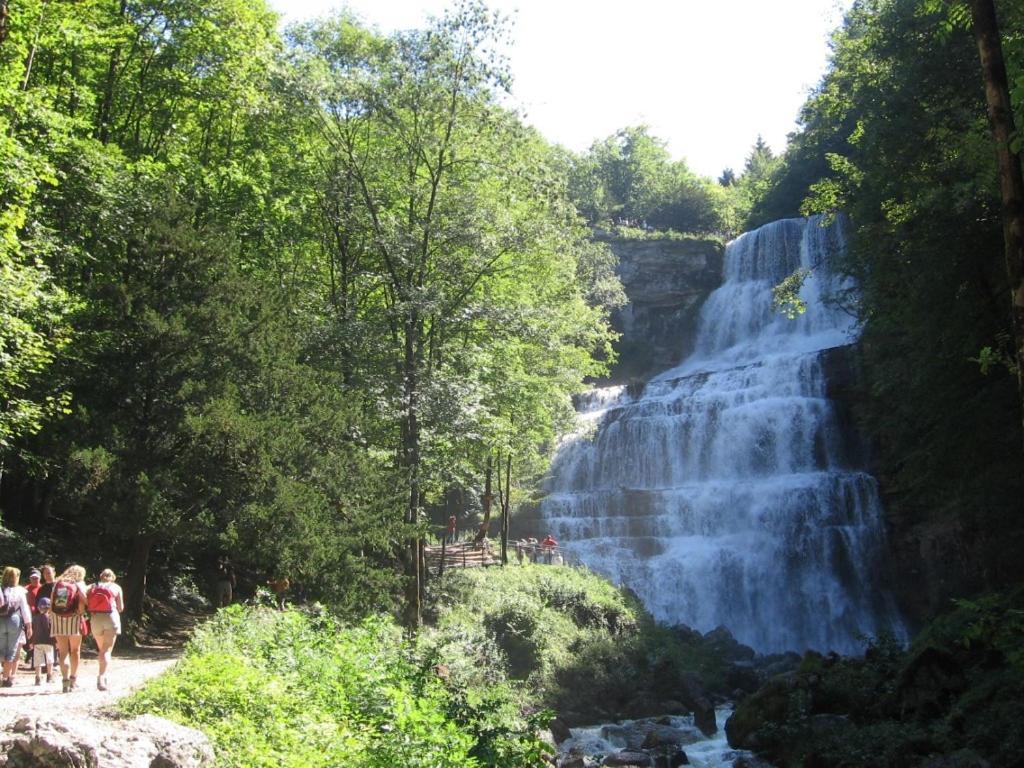 Gite Grande Capacite Au Calme Circuit Cascades Du Herisson Bonlieu 外观 照片